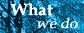 What we do - Our Services
